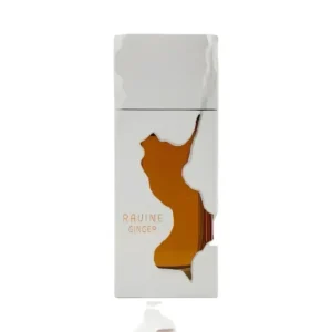 Ravine Ginger 100ml - Unisex - French Avenue