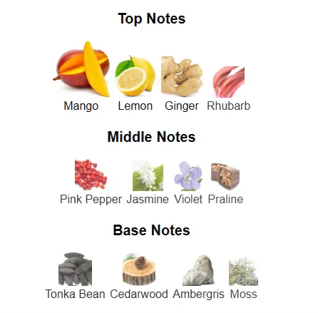 Vulcan Feu Eau de Parfum - 100ml - French Avenue - Image 4