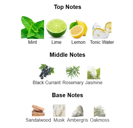 Platine Blanc EDP by French Avenue 100ml, Unisex - Image 5